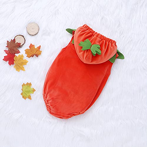 Disfraz de Calabaza para Bebé Unisex 0-6 meses miniatura 2