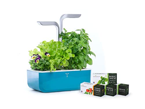 Véritable® SMART (Teal Blue...