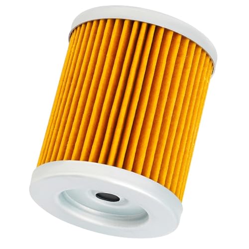 Filtre à huile pour SYM Maxsym 400 600 protège le moteur des frottements