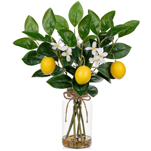 Oairse Faux Greenery Stems in Vase Aritificial Lemon Stems in Glass Vase with Faux Water Fake Lemons Branches Flower Arrangement Lemon Centerpieces for Home Kitchen Dinner Tables Decor