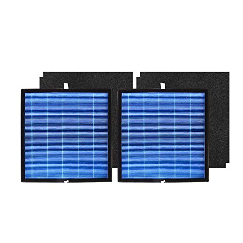 PUREBURG 2-Pack Replacement HEPA Filter Kit Compatible with Okaysou Airmax 10L Pro and Aiibot (Aiibot-A300)