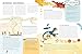 Fold Out Atlas of Dinosaurs