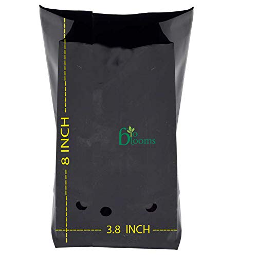 BIO BLOOMS Plastic Nursery Cover, Black, 6x8 inch, 100 Pc