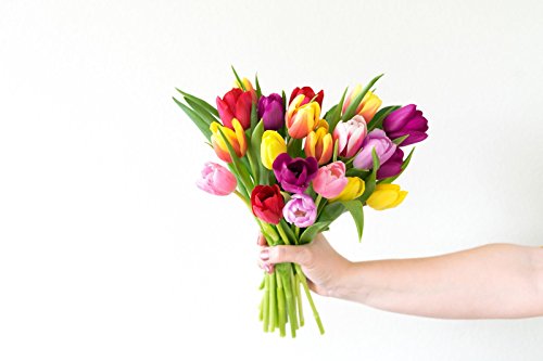 From You Flowers - Rainbow Tulip Bouquet - 20 Stems With Free Vase (Fresh Flowers) #TOP5