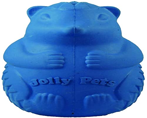 Jolly Pets Rubber Hedgehog Dog Toy/Treat Holder, 4 inches