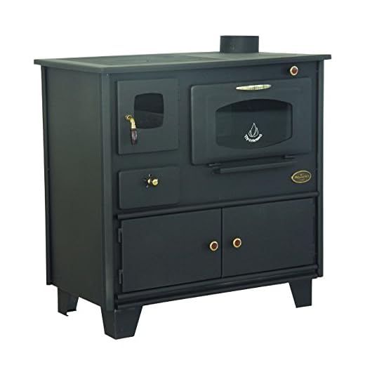 Estufa de leña para cocina con base de fuego directo de hierro fundido de Prometey