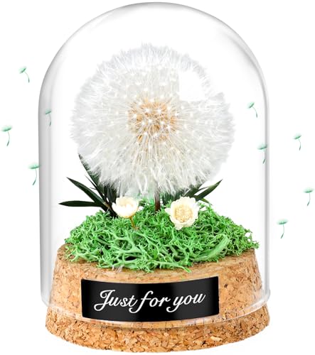 Diente De León De Cristal Hecho A Mano Diente De León Natural Flores Secas Naturales Flores Secas para Mujeres Mamá Abuela Novia Hermana Ideal para Diversas Ocasiones Idea Original para Ella
