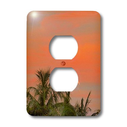 3dRose lsp_17874_6 West Sunset Cache 2 prises cache les imperfections - 2