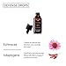 The Nue Co. - DEFENSE DROPS - Fast-Acting Natural Immunity-Boosting Supplement - Instant Immune Support - Echinacea, Eluthero + Shisanda Berry - Vegan, Alcohol-Free, Sugar-Free - 30ml