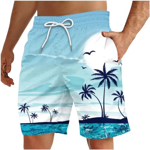 Zeiyignr Mens 3D Print Swim Trunks Quick Dry Swim Shorts Hawaiian Funny Swimwear Bathing Suits Summer Beach Board Shorts