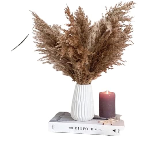 10 Tall Stems Large Pampas Grass Extra-Fluffy Plumes Naturally Dried for Home Decor, Wedding, Gifts, Boho Decor, Floral Arrangements-image-47