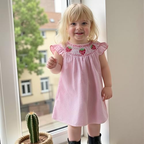 Toddler Girl Casual Summer Dress Sleeveless Watermelon/Animals Embroidery Smocked A-Line Dress Birthday Party Princess Dress4
