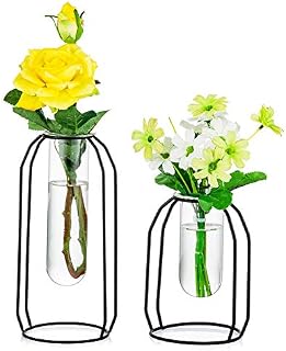 NUPTIO Vases Set of 2 Glass Vases with Metal Frame, Modern Black Frame Cylinder Clear Vase Planter Terrariums, Flower Holder Decorations for Wedding Living Room, Office, Party