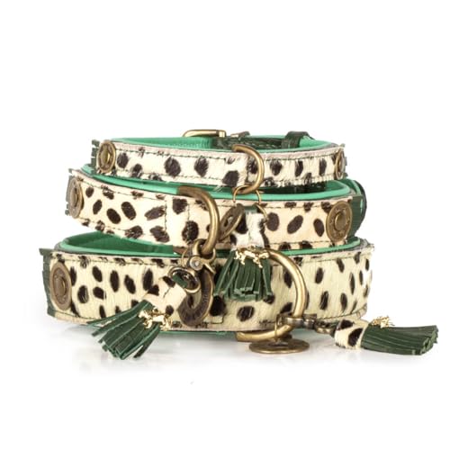 Dog with a Mission - Hundehalsband M | Leopard, Grün, Braun | Boho, Ethno, Urban, Hippie | Ideal für mittelgroße Hunde | Handgemacht, Bunt und Modisch Design, Luxe | 2,5 cm Breit