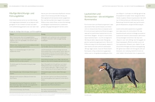 Der Jagdgebrauchshund: Erfolgreiche Jagdhunde Ausbildung. Erziehen – Abrichten – Führen (BLV Jagdhunde)