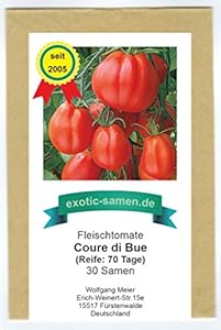Exotic-Samen Coure Di Bue Fleischtomate 30 Samen