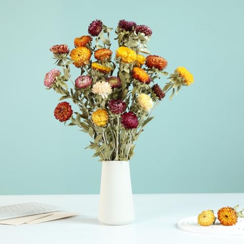 Ramo de Flores Secas Margarita Natural 20 Piezas miniatura 3