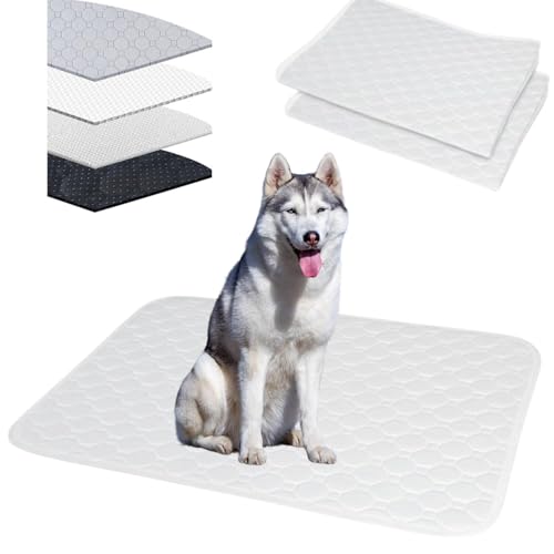 Lifetips VxAEnXL[iSiberian Huskyj 􂦂ybgV[c ybgV[c 􂦂 2Zbg ~ V[cCh V[g L ۂƐ􂦂 ~}bg ld\ Rh~  ~ ^ ^  