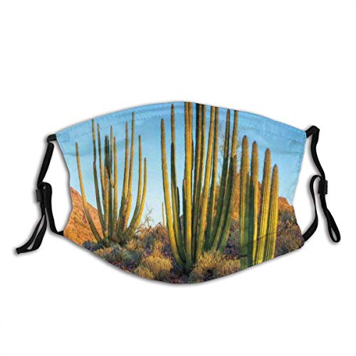 Gesichtsschutz Mundschutz, Landschaft Bergkaktus Fotodruck, Sturmhaube Unisex Wiederverwendbarer winddichter Mund Bandanas