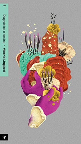 Diagnóstico e destino: