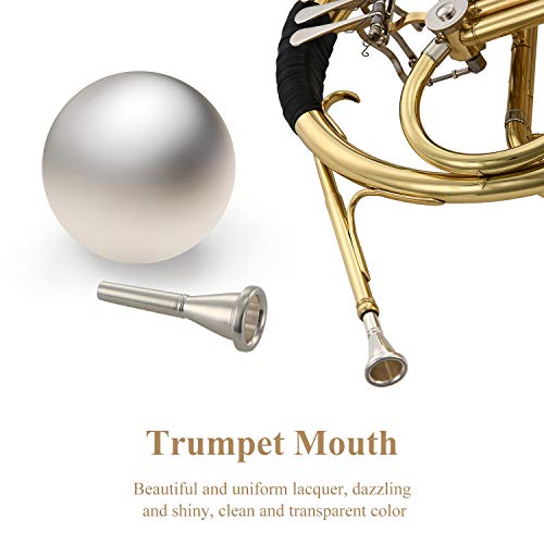 Eastar Single French Horn Key of F Standard 3-Key French Horn for Students Beginners with Hard Case Tuner Mouthpiece Gloves Valve Oil and Cleaning Kit, EFH-380
