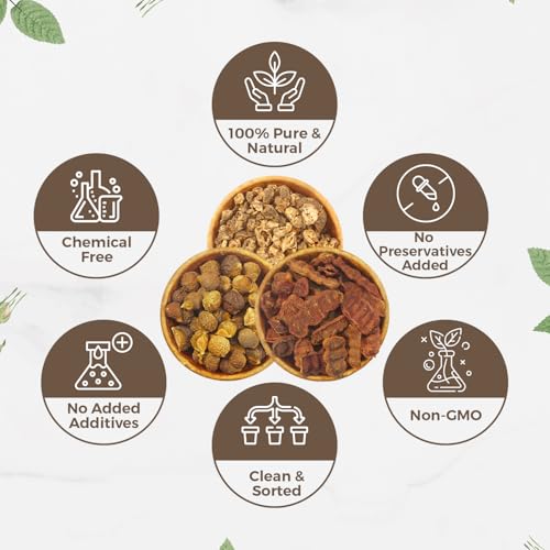 Image of CARMEL ORGANICS Amla, Shikakai & Soapnut /Reetha Whole Combo - 100g Each | Natural Hair Care Trio | Herbal Cleanser & Conditioner, No Added Preservatives