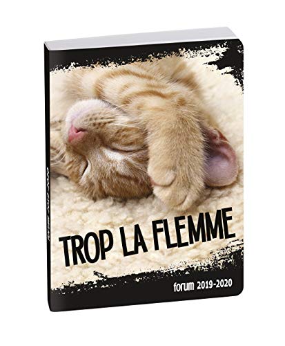 EXACOMPTA - 1 Agenda Journalier Forum FUNNY PETS CHAT 12 x 17 cm - Août 2019 à Juillet 2020
