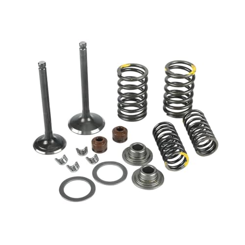 Ressorts de soupape d'admission et joint d'étanchéité pour moto LF 125cc 140cc 150cc