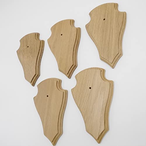 Generisch 5 carteles de trofeos REH en punta de roble claro pequeño AF 19 cm x 11 cm