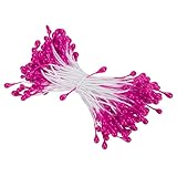 Photo Gallery patikil 3mm doppio teste fiore stame 150pz fiore artificiale stame pistillo opaca floreale stame per fai da te natale cartolina matrimonio decorazione rosa rossa Photo Gallery patikil 3mm doppio teste fiore stame 150pz fiore artificiale stame pistillo opaca floreale stame per fai da te natale cartolina matrimonio decorazione rosa rossa