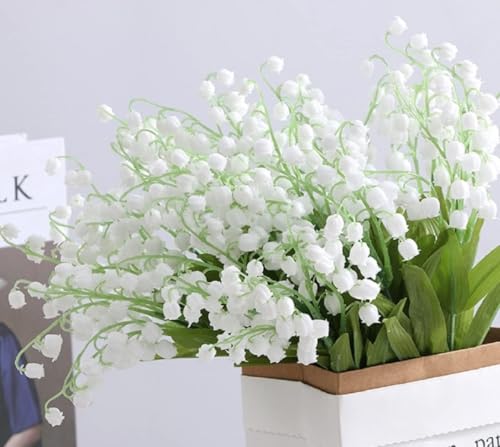 jwyndsq()  ԑ XY 1632{ t[u[P VNt[ 闖 CeA EGfBOu[P  ͂Ȃ A[gt[  Be lH Mtg j ԑ