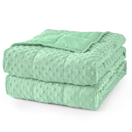 Image of Mr. Sandman Cooling Weighted Blanket for Adults, Queen Size 15 lbs, 60″x80″