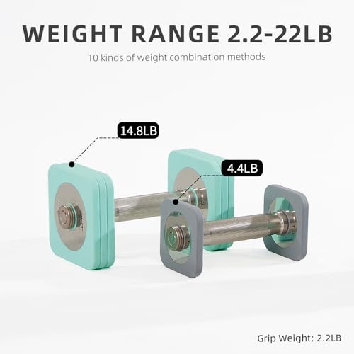 DHT-Dumbbell-Sets-with-Rack-Free-Weights-Dumbbells-Set-All-Purpose-Fitness-Anti-Rolling-Weights-Set-for-Gym-Home-Office-22-22-lbs-1-Set