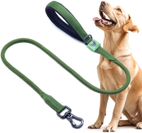 Guia Premium para Cachorro, 1,2 Metros, Alça Neoprene, Mosquetão ...