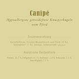 Terra Canis Pferd - Canipé Hypoallergen Knusperkugeln, 200g I Hundesnack in 100% Lebensmittelqualität Aller Rohstoffe | getreidefrei