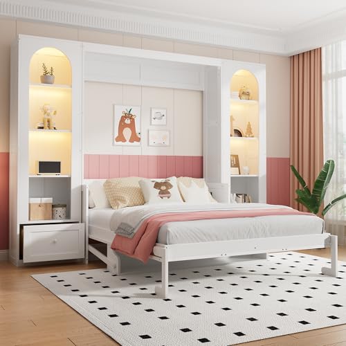 Queen Murphy Bed with Storage & Desk