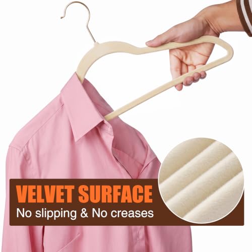 Flottian-60-Pack-Beige-Velvet-Hangers-Non-SlipFelt-Hangers-with-Gold-Hook-Clothes-Hangers-Velvet-for-Closet-OrganizerHeavy-DutySpace-SavingSlim-Suit-Hanger-for-CoatsOutfitShirtsSuitsect
