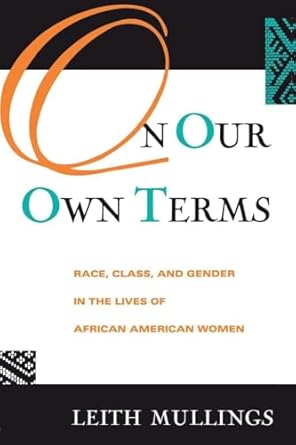 On Our Own Terms: Race, Class, and Gender in the Lives of African-American Women (Perspectives in Neural Computing)