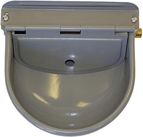 auto filling dog water bowl