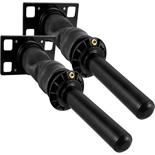 Mophorn Rear Cab Air Shock Absorber for International Prostar 2008+ 3595977C96 3595977C95 Cab Air Shock Dampen the Driving Vibration (Two Piece(a pair))