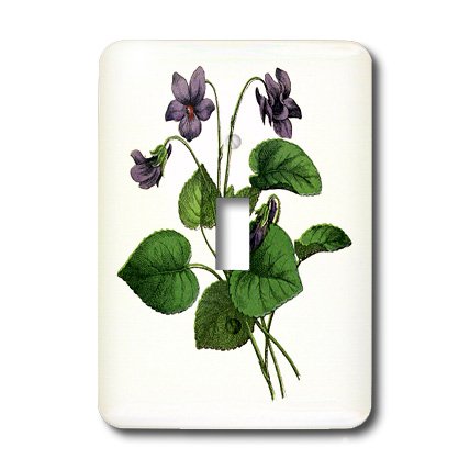 Impression de violettes victoriennes d'art sur support blanc chic