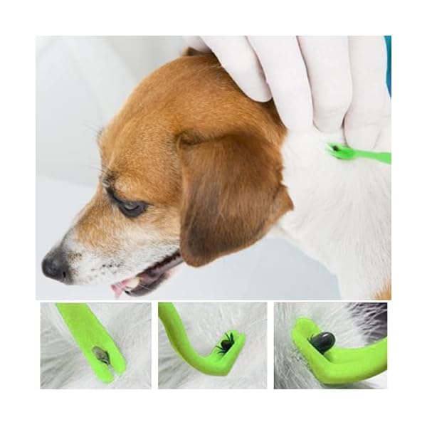 Tick Remover Tool,Painlessly Tick for Dogs Cats and Humans Pets Green Tick Remover Tool,Painlessly Tick for Dogs Cats and Humans Pets Green