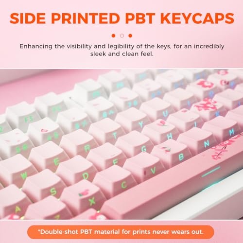 Mechanical Keyboard Wireless Hot-Swappable