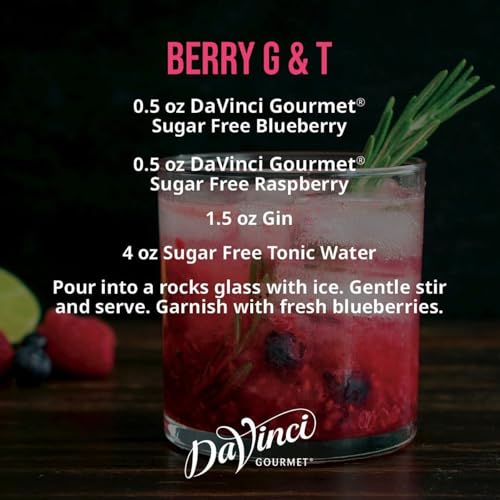 Image of DaVinci Gourmet Sugar-Free Blueberry Syrup, 25.4 Fluid Ounce (Pack of 2)