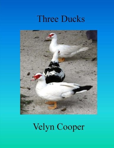 Three Ducks