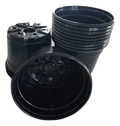 6" Diameter Plastic Nursery and Azalea Pot (50)