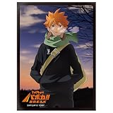 タカラトミー(TAKARA TOMY) ハイキュー!! バボカ!! BREAK DXカードスリーブ Vol.1 「日向 翔陽」