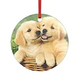 prix chiot golden retriever suisse Design à suspendre centré sur l'arbre : conçu comme une décoration à suspendre pour sapin de Noël, ce pendentif chiot Golden Retriever imprimé double forme (rond/cœur) est optimisé pour les branches. Sa taille garantit qu'il complète les lumières et les guirlandes sans surpuissance.