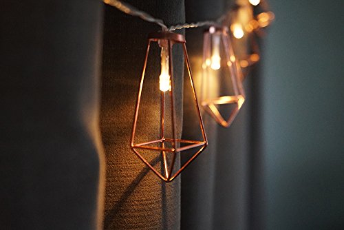 Luxlumi Diamonds Are Forever Rose String Lights Gold & Wire Caged Soft White 20 Led Rustic Farmhouse Bedroom Nursery Dorm Home Décor Teen Kids Baby Fall Decorations (10.5Ft) #TOP4