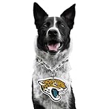 Littlearth NFL Pet Fan Chain Jacksonville Jaguars